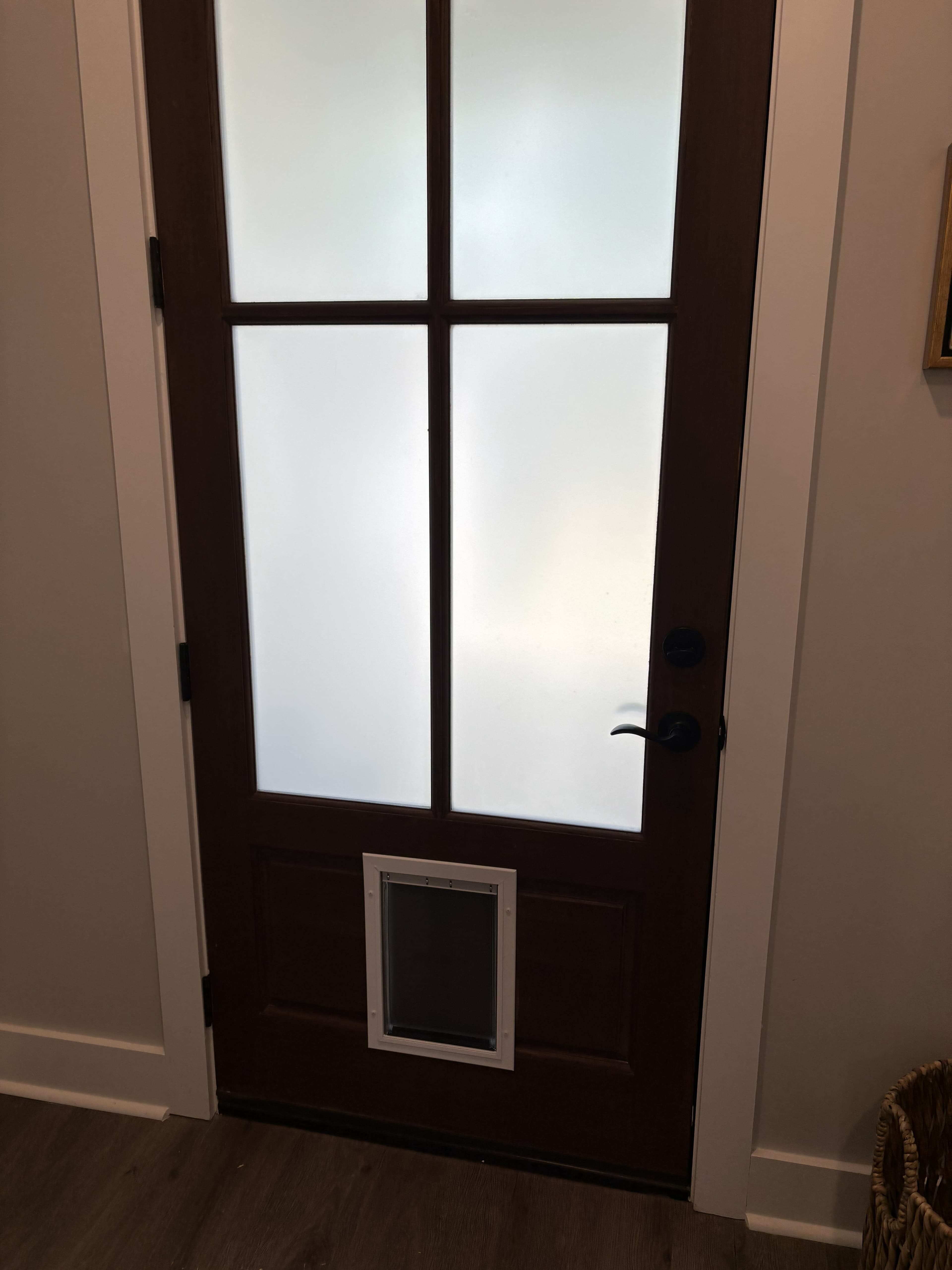Doggy Door Installation